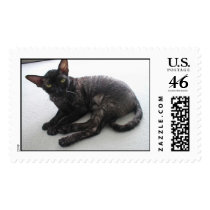 Cornish Rex postage by markemcgovern Cornish Rex postage
