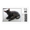 Cornish Rex postage by markemcgovern Cornish Rex postage