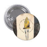 cornskewr button buttons