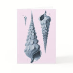 Cornucopia Conche Shells - Greeting Card