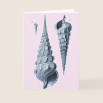 Cornucopia Conche Shells - Greeting Card