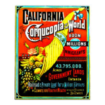 Cornucopia - Print posters