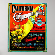 Cornucopia - Print