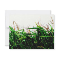 Corny invitations by Matt_Metz0305 Corny invitations