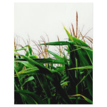 Corny letterhead by Matt_Metz0305 Corny letterhead