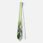 Corny Tie, by JC Findley