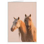 Corona & Cheyenne at Dawn Wild Horse Greeting Card
