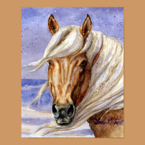 Corona of Sand Wash Basin HMA Colorado posters