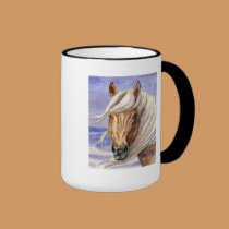 Corona Wild Stallion of Sand Wash Basin HMA mugs