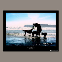 Coronado Dog Beach posters