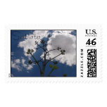 CoronadoCaveHike Postage Stamps
