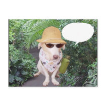 Corporate Jungle Myrtie postcards