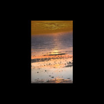 Corpus Christi Bay posters