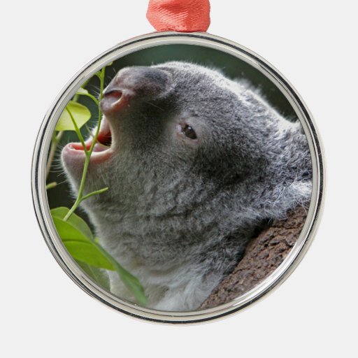 corrosive koala metal ornament zazzle corrosive koala metal ornament zazzle