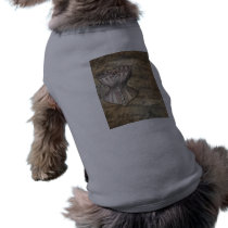Corset Collage pet clothing by opheliasart Corset Collage pet clothing