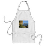 corsica_cliffs aprons