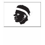 Corsica Flag T-shirt