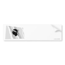 Corsica Waving Flag bumper stickers by Vexillophile Corsica Waving Flag bumper stickers