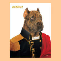 corso poster posters