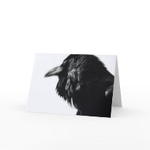 Corvus corax (Common Raven) Card