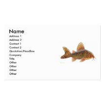 Corydoras Sterbai Catfish Profile Card Business Card Templates