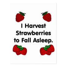 Cosecho las fresas para caerme dormido tarjeta postal