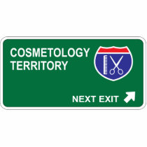 Cosmetology Next Exit photo sculptures