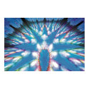 Cosmic Bromeliad posters