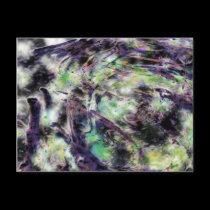Cosmic Eye Postcard