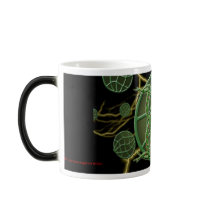 Cosmic Frog mugs