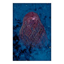 Cosmic Jellyfish posters by C00L_AC Cosmic Jellyfish posters