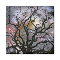Cosmic Tree - Colliding Galaxies Magnet