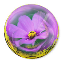 Cosmo Bubble magnets by BCImages Cosmo Bubble magnets