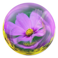 Cosmo Bubble sticker