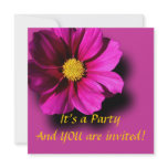 Cosmo in the Corner Invite