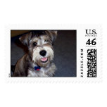 Cosmo postage