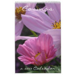 Cosmos 2011 wall calendars