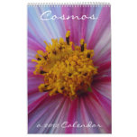 Cosmos 2012 wall calendar