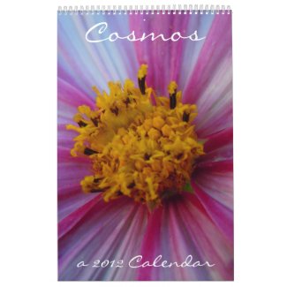 Cosmos 2012
