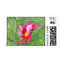 Cosmos 4911 postage by Just_For_Mom Cosmos 4911 postage