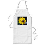 Cosmos Attracts Bumblebee aprons