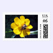 Cosmos Attracts Bumblebee postage