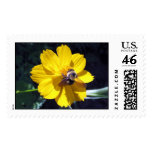 Cosmos Attracts Bumblebee Postage Stamp