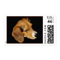 Cosmos BeGlee Postage Stamps
