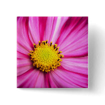 Cosmos Button
