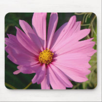 cosmos closeup mousepad