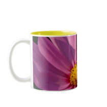 cosmos closeup mug