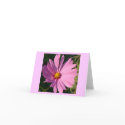 Cosmos Closeup notecard by alyciakeating Cosmos Closeup notecard
