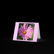 Cosmos Closeup notecard