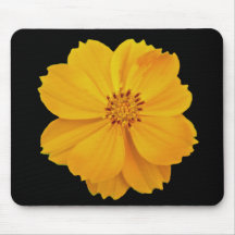 Cosmos (Cosmos sulphureus) Flowers Mouse Pads